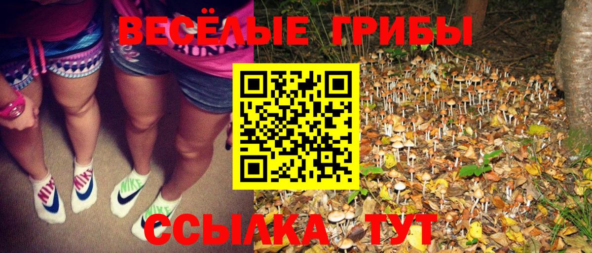 Галлюциногенные грибы мухоморы  Вход с VPN  Горно-Алтайск  Галлюциногенные грибы MAGIC MUSHROOMS 